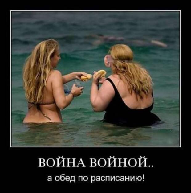 Демотиваторы новые, надписи и фото прикольные.