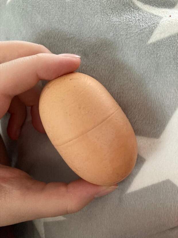 Яйцо, которое снесла моя курица, похоже на киндер-сюрприз