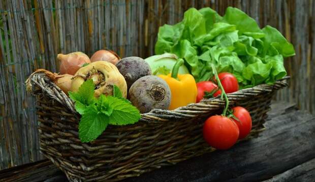 17 января в Караганде открывается новый фермерский павильон