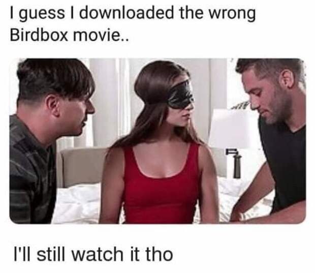 Bird Box meme