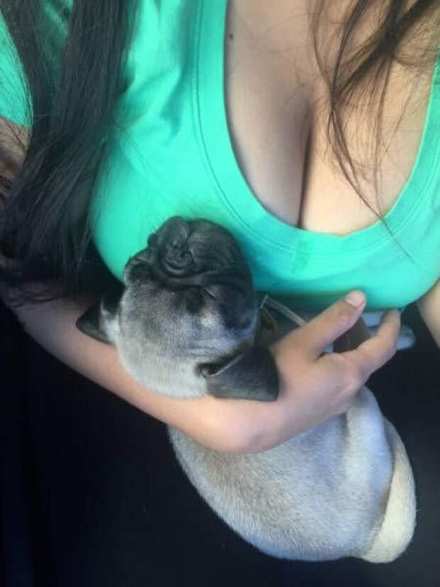 Прикольные картинки абавсём:D (06.08.15)