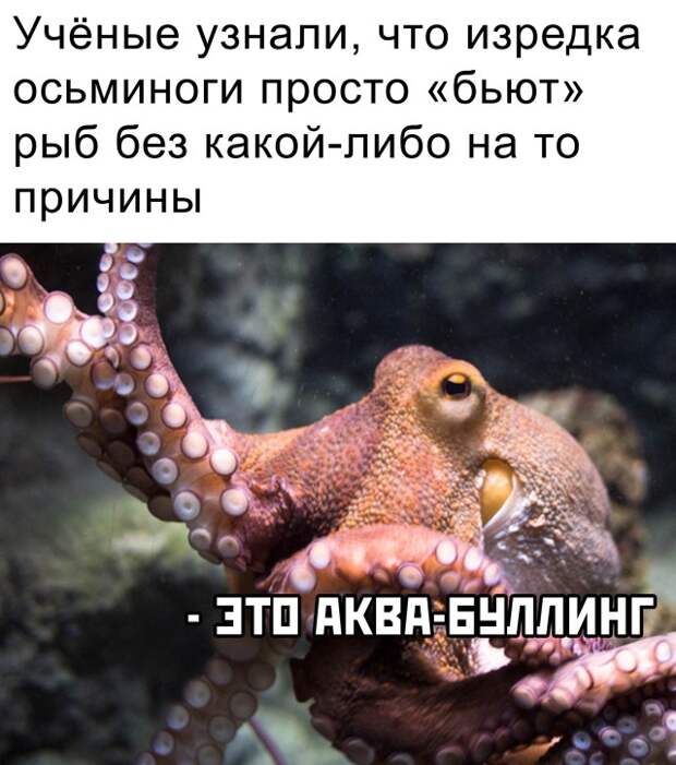 Смешные картинки вечер 18 марта 2021 года