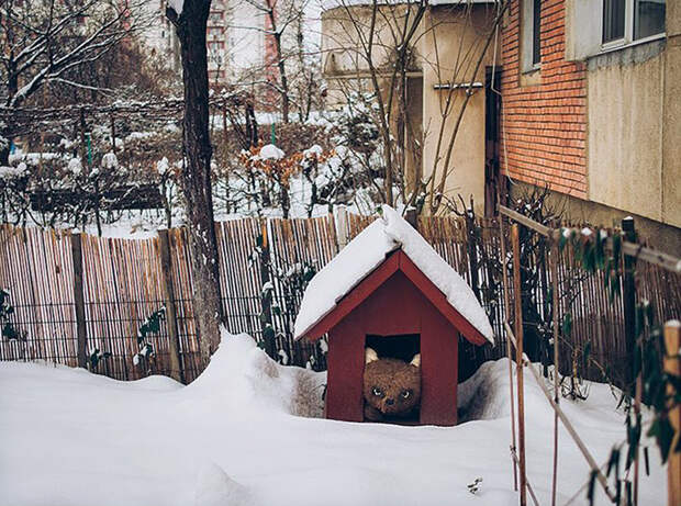 romania-villages-funny-photography-hajdu-tamas-35