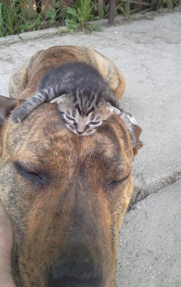 friendship3