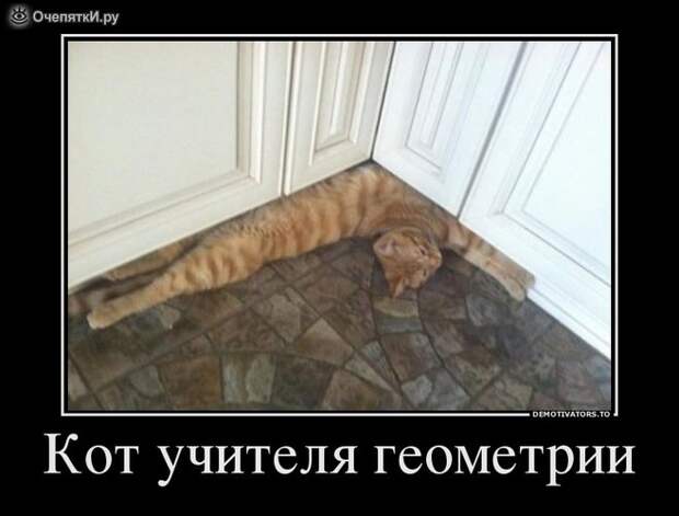 Демотиваторы о разном 4