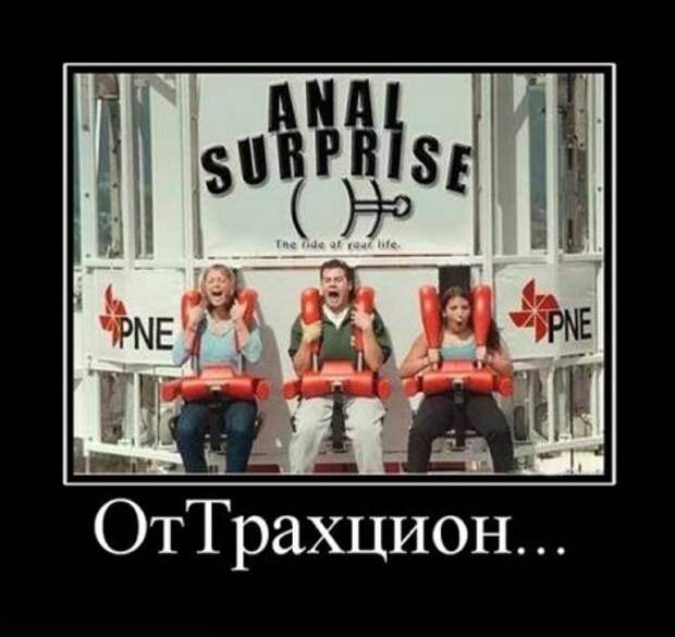 Демотиваторы приколы картинки, заряд отличного настроения!