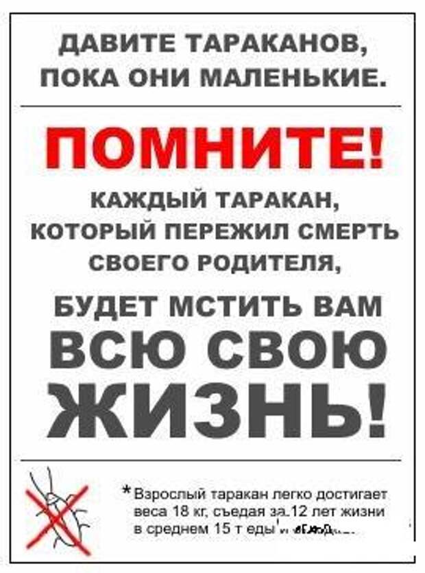 Забавности :) (50штук)