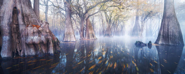Победители конкурса панорамной фотографии The EPSON International Pano Awards