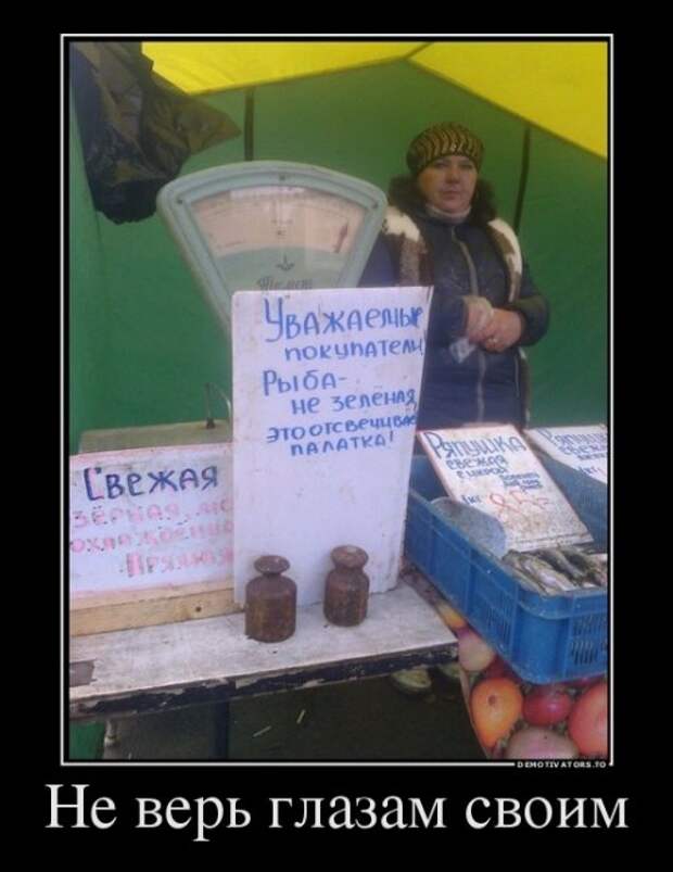 Новые демотиваторы (12 шт)