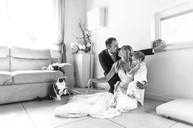 Фотограф снимает невест с их кошками и результат не может быть более очаровательным животные, кот, кошка, красота, милота, невеста, свадьба