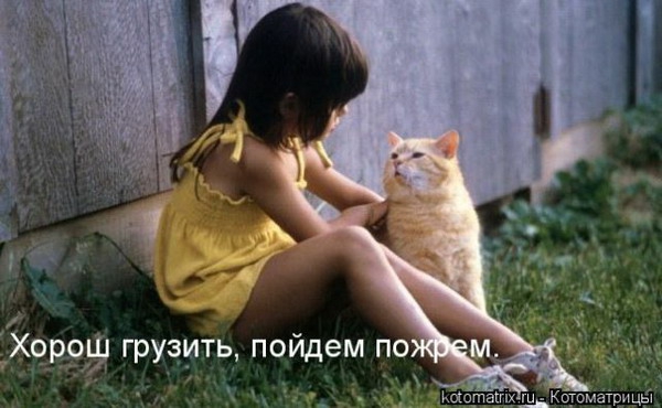 Фразы в картинках картинки, фразы