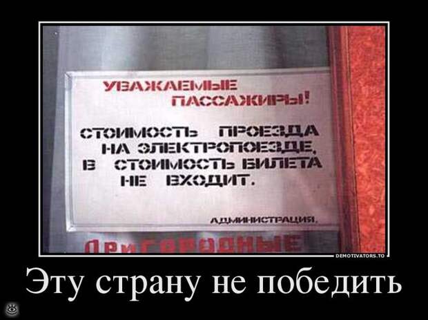 Селёдка под юбкой? 5