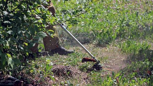 В Госдуме предложили увеличить майские праздники за счет новогодних