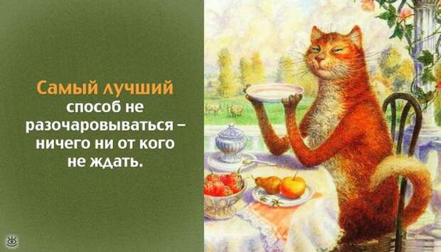 Разгрузочный день! 5