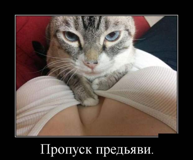 Демотиваторы (30 фото)