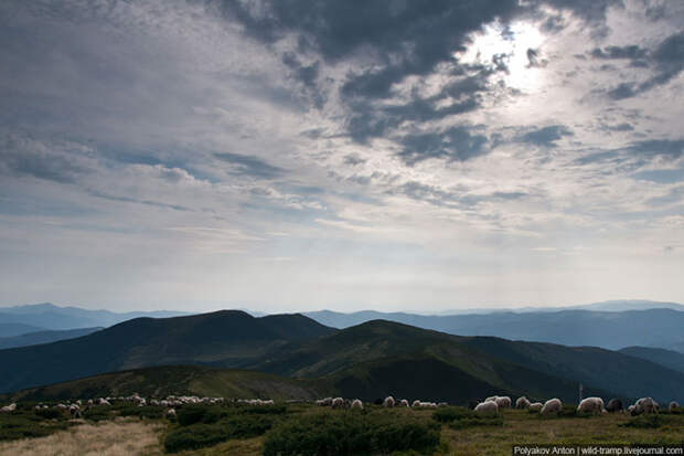 По бескрайним просторам Карпат