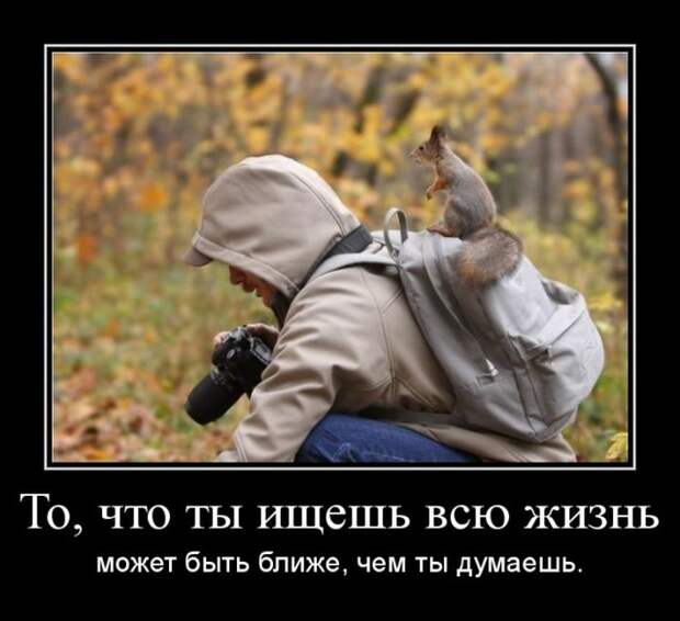 Демотиваторы (30 фото)