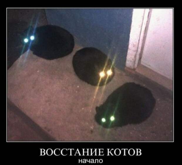 Новые демотиваторы на начало недели!