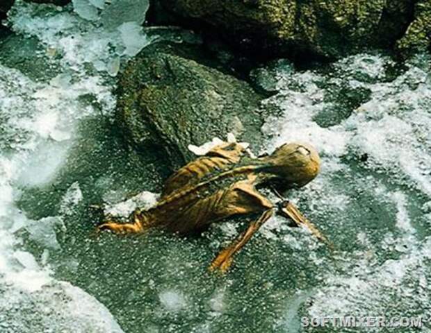 otzi