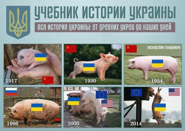 CZBI6XUVAAASdsH.jpg