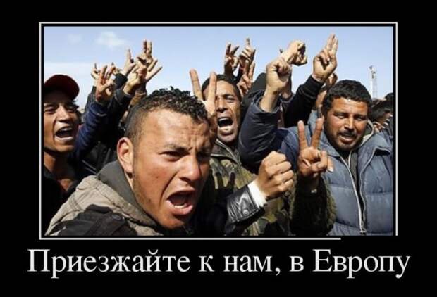 Демотиваторы (30 фото)