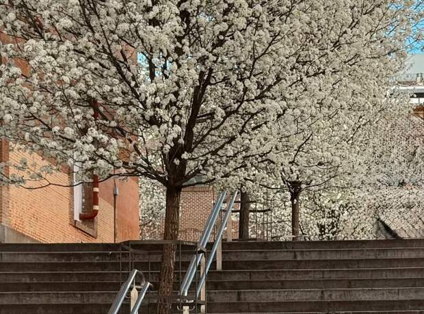 Шоумен Тимур Родригез показал своих повзрослевших сыновей