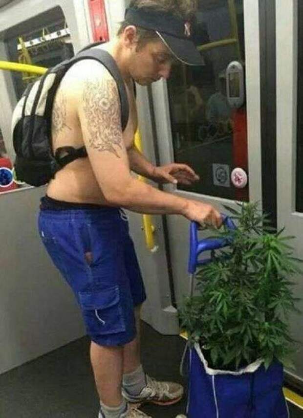 Свежий юмор Свежий юмор