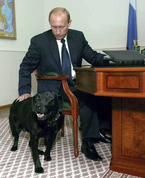 Владимир Владимирович Путин и звери добро, животные, мир, путин, россия