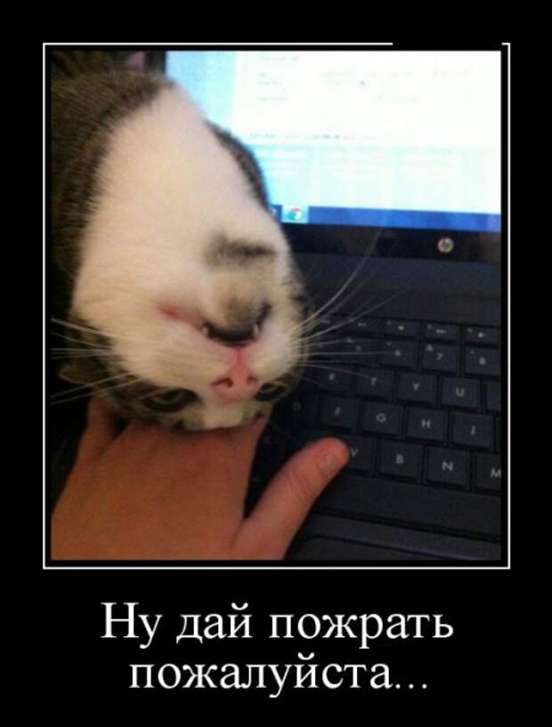 Прикольные демотиваторы и всегда во время.