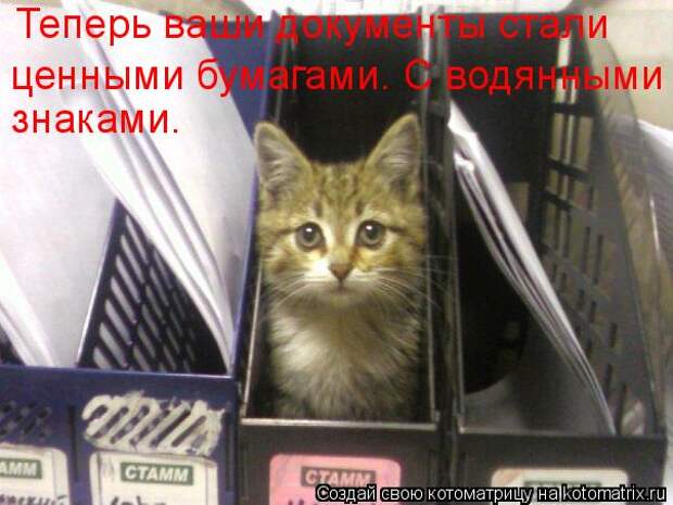 Котоматрица - Теперь ваши документы стали ценными бумагами. С водянными знаками.
