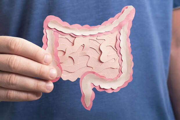 Онколог Хребтов: рак кишечника молодеет — его все чаще находят у людей до 45 лет