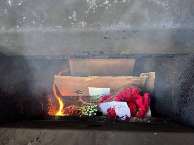 Тысячи гвоздик не дожили до 8 марта в Приморье