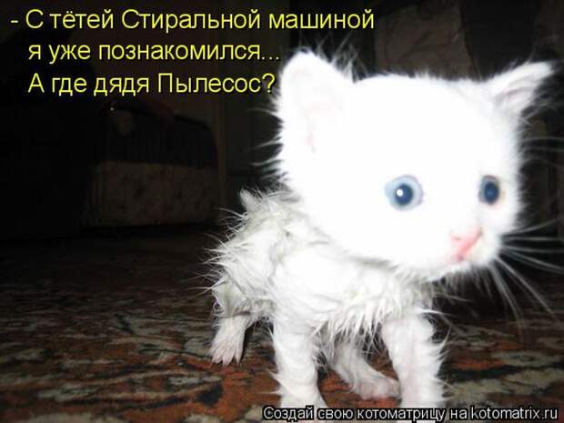 Лучшие котоматрицы недели (50 фото) Лучшие котоматрицы недели (50 фото)