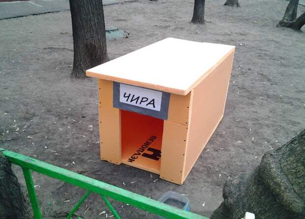 Даже многоквартирный  девушки, животные, прикол, юмор