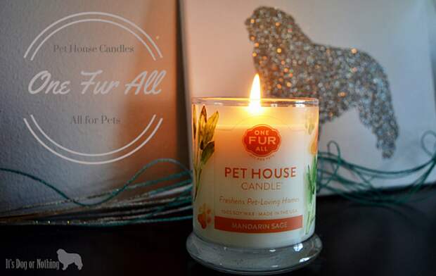 One Fur All Pet House Candles