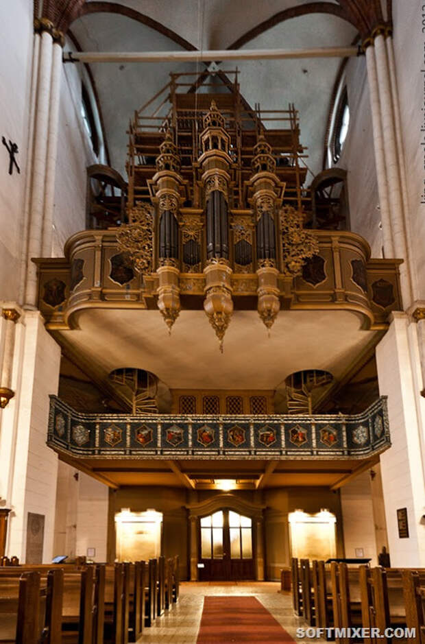 r_24_organ
