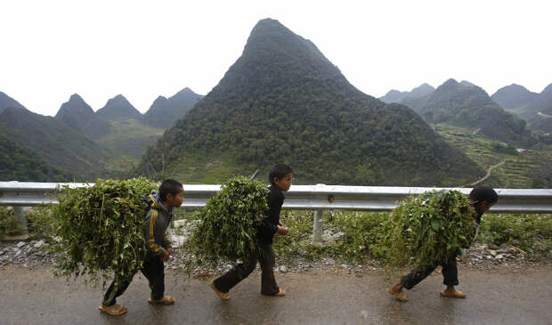 VIETNAM-AGRICULTURE/