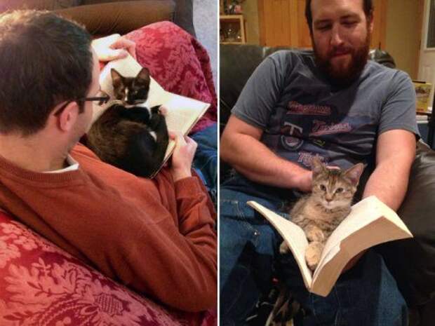 Питомцы, которые мешают читать