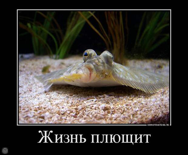 Теперь ты видел всё 21
