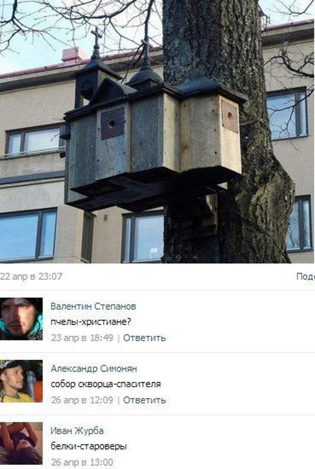 Классные комментарии из соцсетей