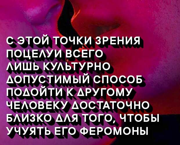 4 почему люди целуются