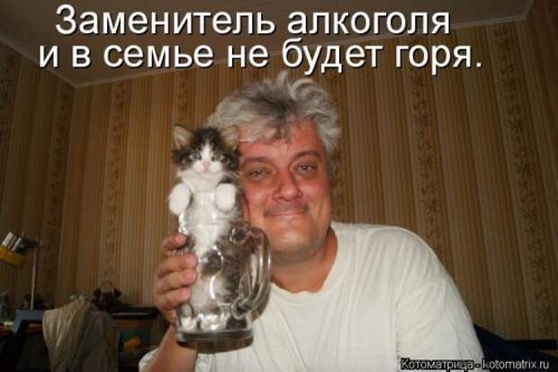 Лучшая котоматрица недели (30 фото)