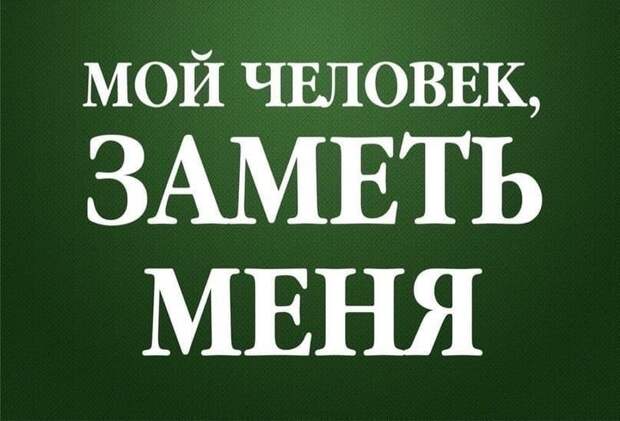 Она - удивительная, она - мурчащее чудо )) Кому Счастье домой?!