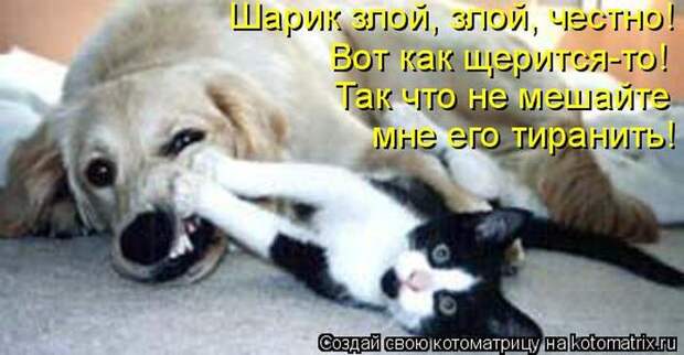 Мысли вслух :)