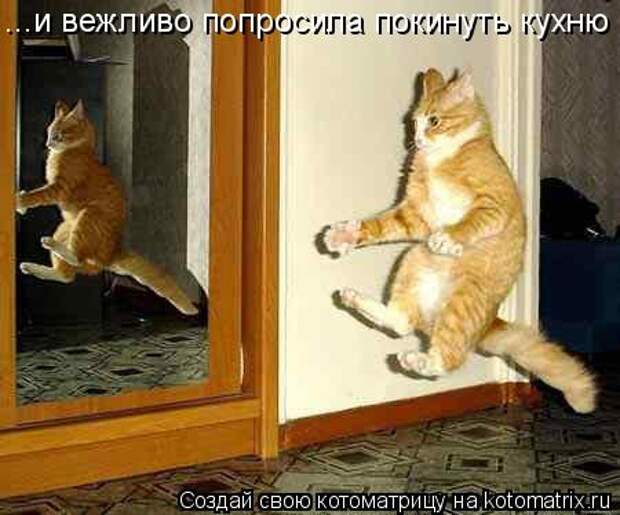 Новые крутые котоматрицы первой недели октября (50 фото) Новые крутые котоматрицы первой недели октября (50 фото)