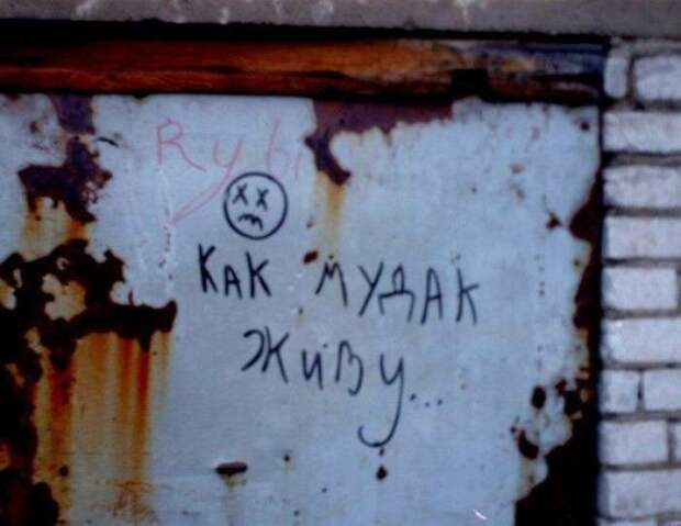 Порция народного креатива Порция народного креатива