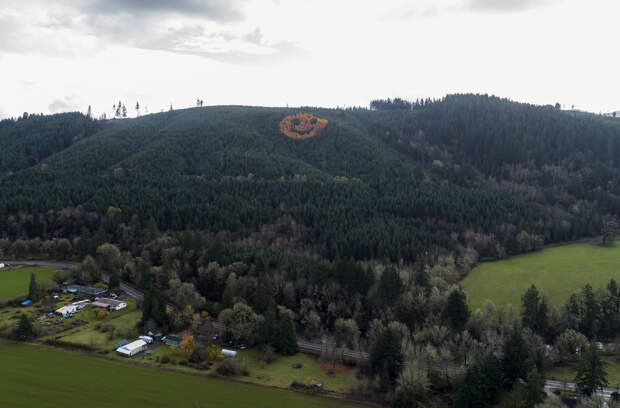 Who planted a giant smiley face of trees? - oregonlive.com