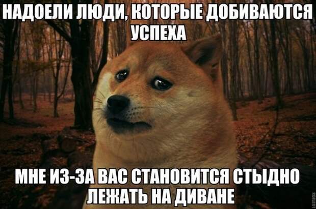 Смешные картинки с надписями прикол, юмор