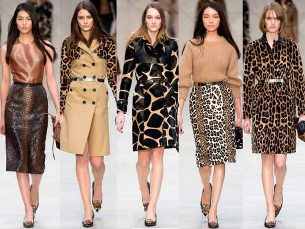 Women Winter Collection