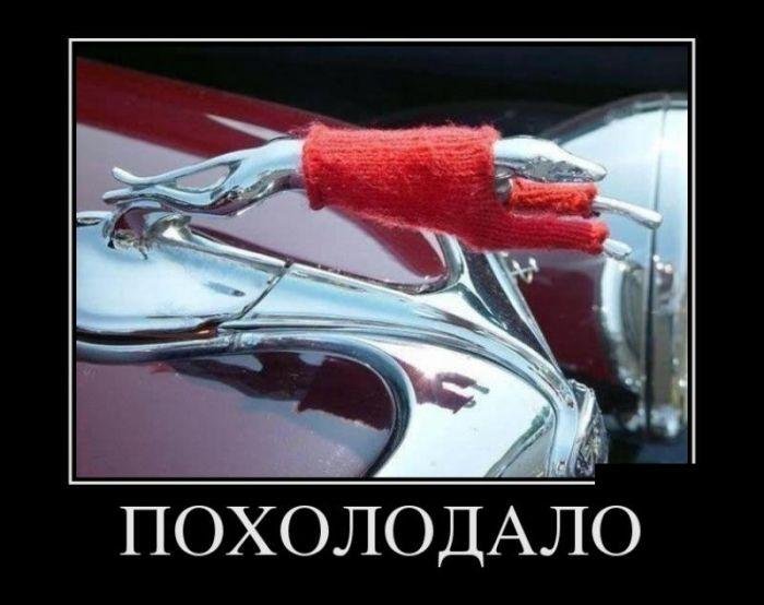 Жизненные демотиваторы - социальные приколы и проблемы Жизненные демотиваторы - социальные приколы и проблемы